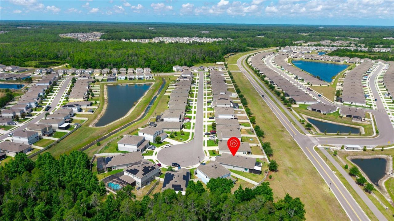 18379 Falling Pine Needle Lane, Land O Lakes, FL 34638 Photo
