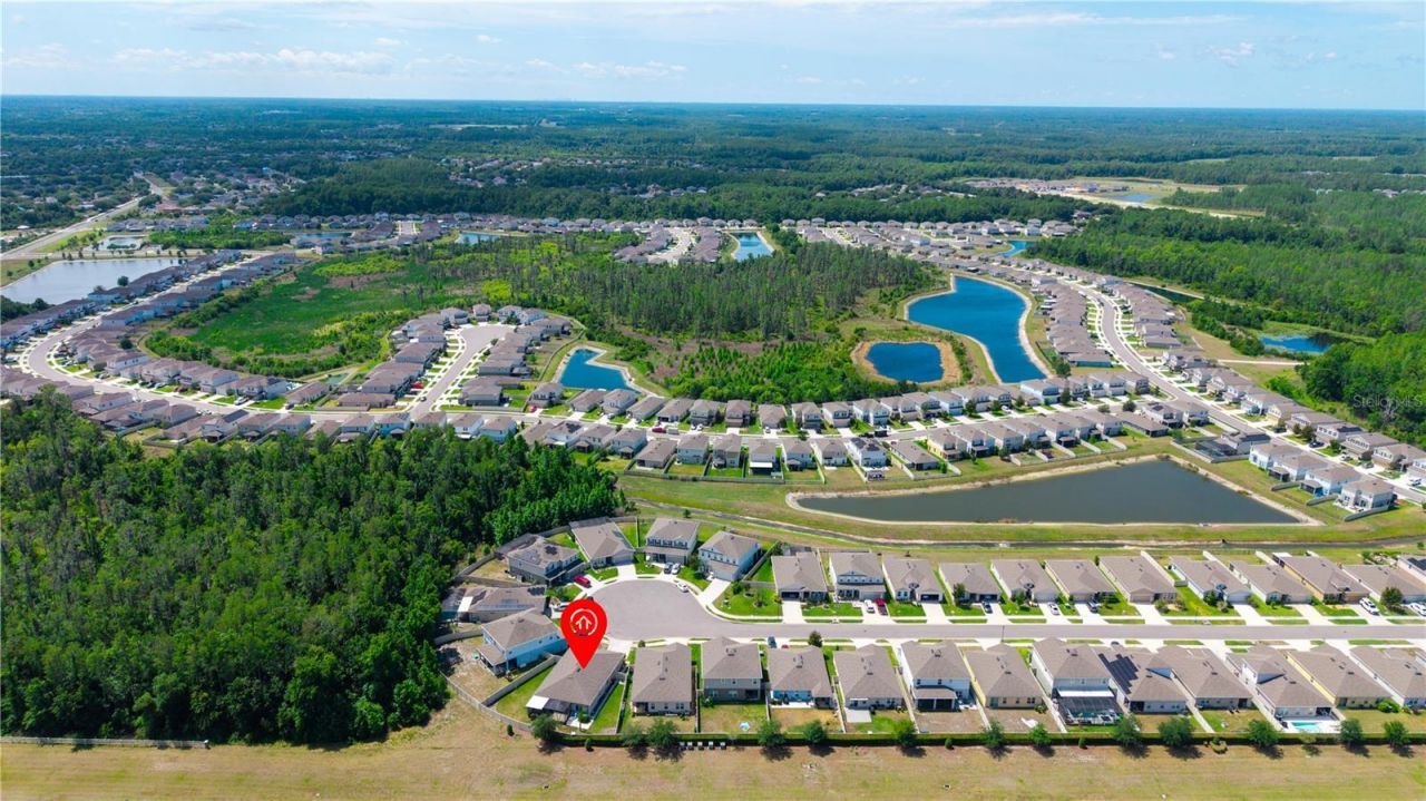 18379 Falling Pine Needle Lane, Land O Lakes, FL 34638 Photo
