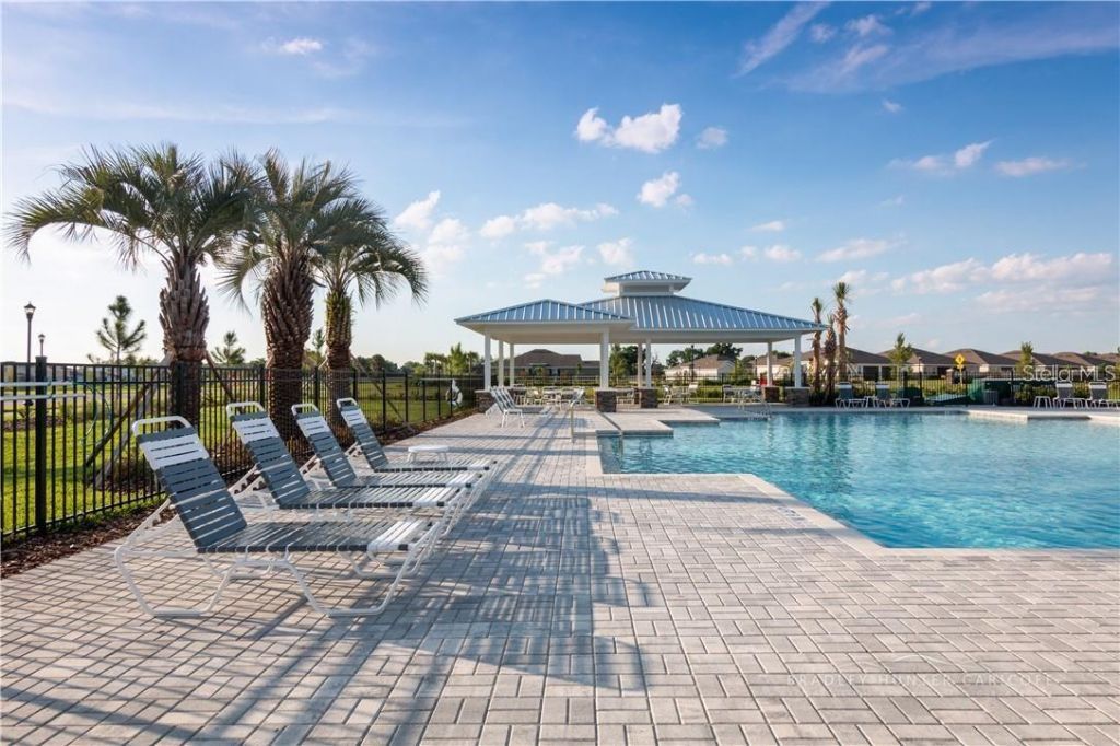 18379 Falling Pine Needle Lane, Land O Lakes, FL 34638 Photo