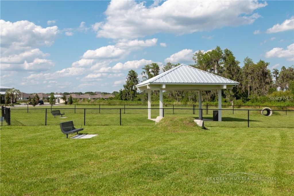 18379 Falling Pine Needle Lane, Land O Lakes, FL 34638 Photo