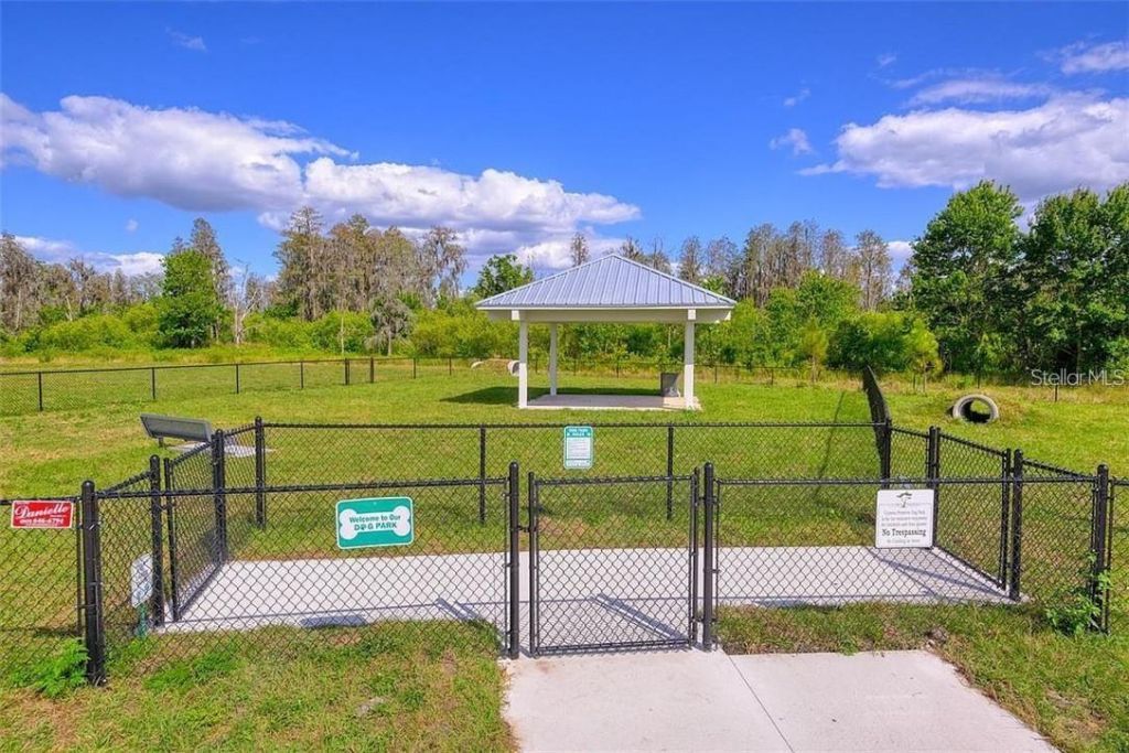 18379 Falling Pine Needle Lane, Land O Lakes, FL 34638 Photo