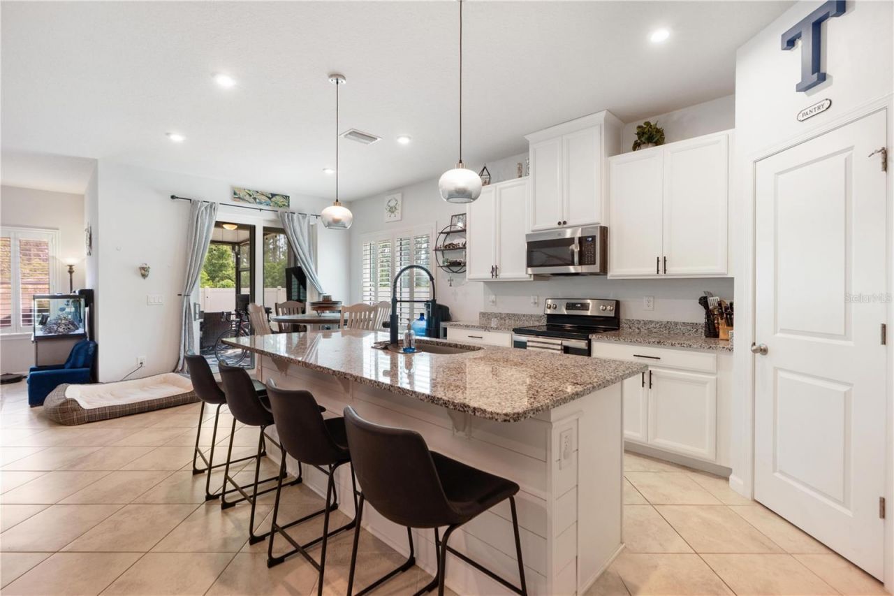 18379 Falling Pine Needle Lane, Land O Lakes, FL 34638 Photo