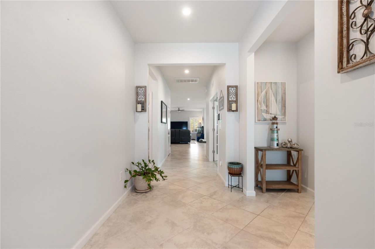 18379 Falling Pine Needle Lane, Land O Lakes, FL 34638 Photo