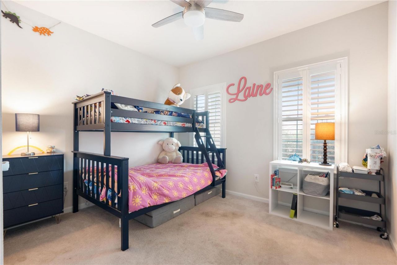 18379 Falling Pine Needle Lane, Land O Lakes, FL 34638 Photo