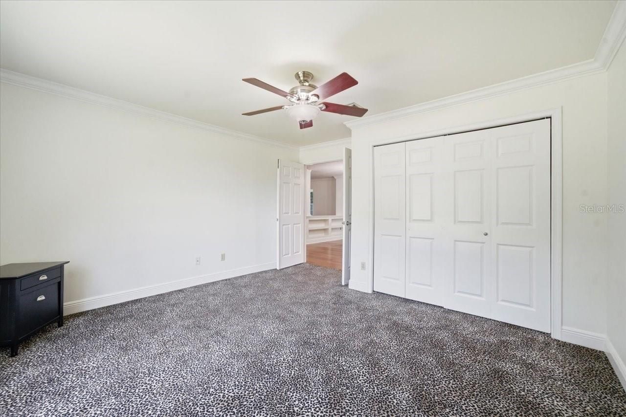 3042 Samara Drive, Tampa, FL 33618 Photo