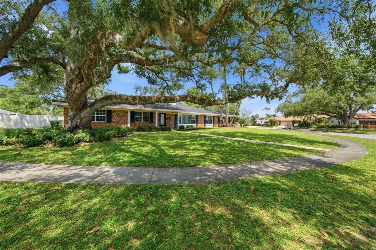 3042 Samara Drive, Tampa, FL 33618 Photo