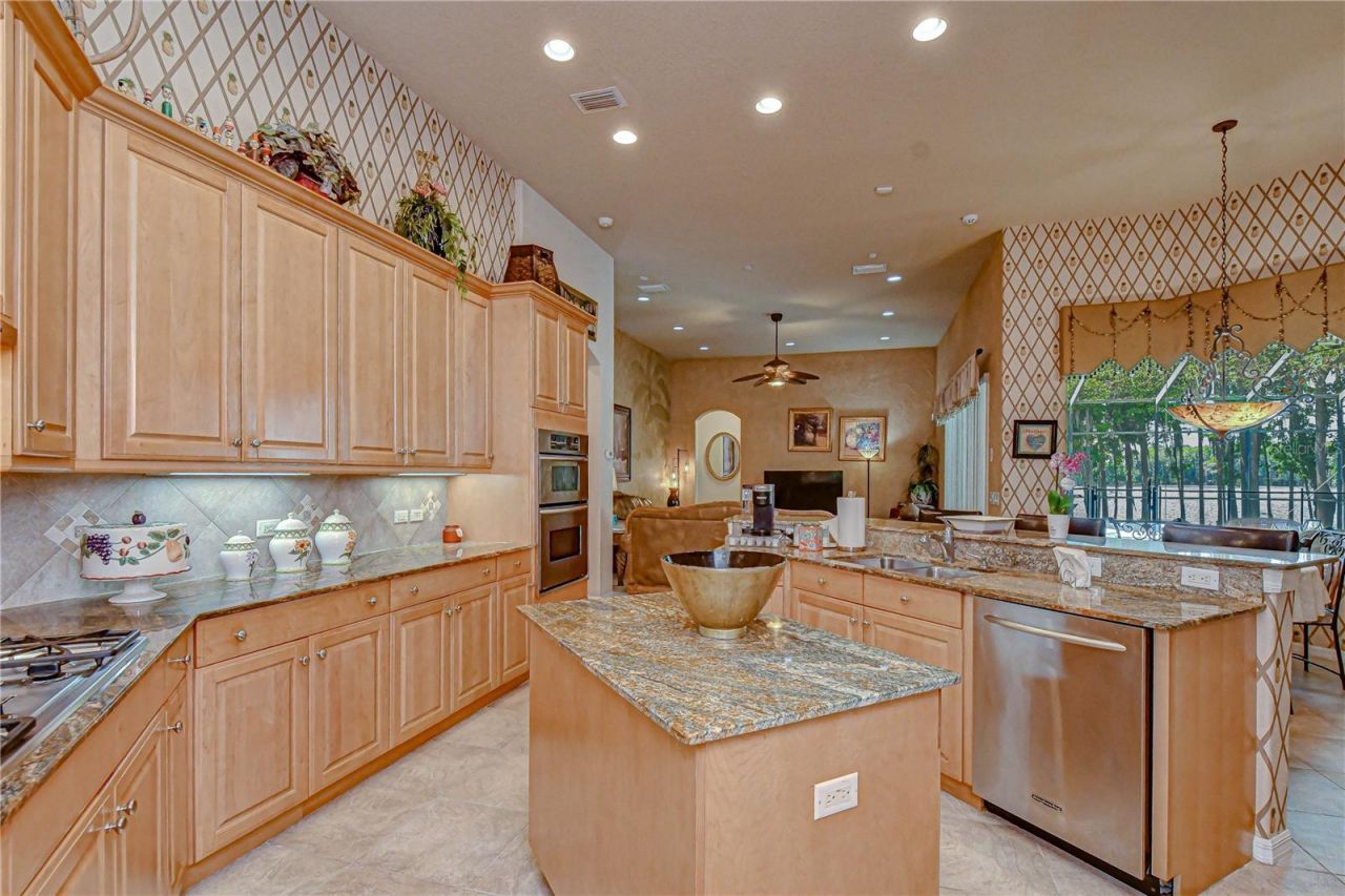 20915 Lake Vienna Drive, Land O Lakes, FL 34638 Photo