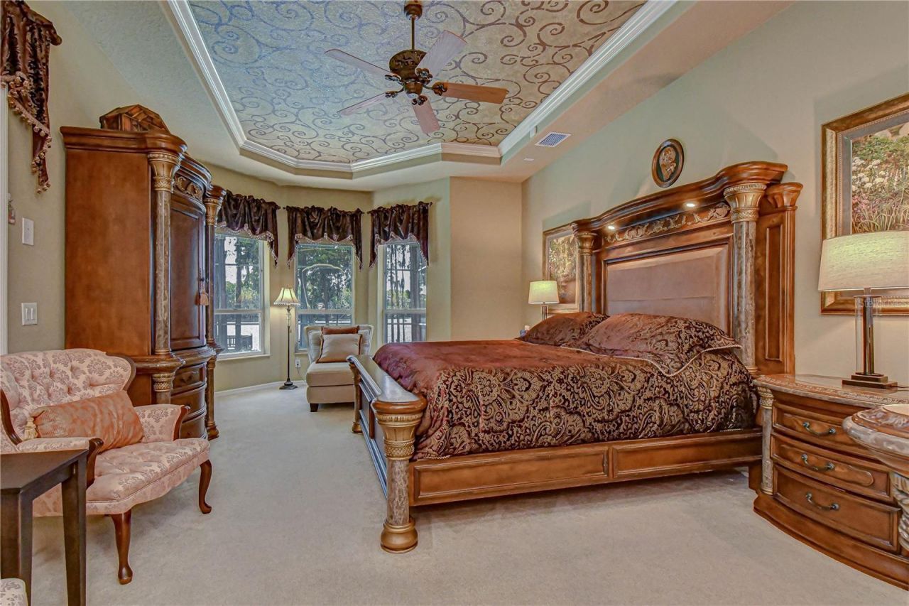 20915 Lake Vienna Drive, Land O Lakes, FL 34638 Photo