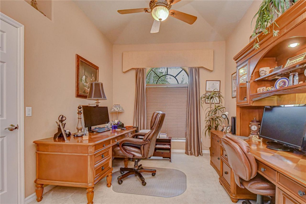 20915 Lake Vienna Drive, Land O Lakes, FL 34638 Photo