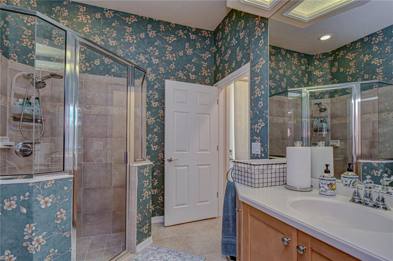 20915 Lake Vienna Drive, Land O Lakes, FL 34638 Photo