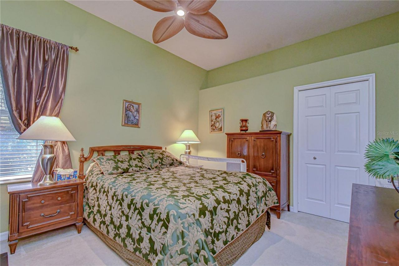 20915 Lake Vienna Drive, Land O Lakes, FL 34638 Photo