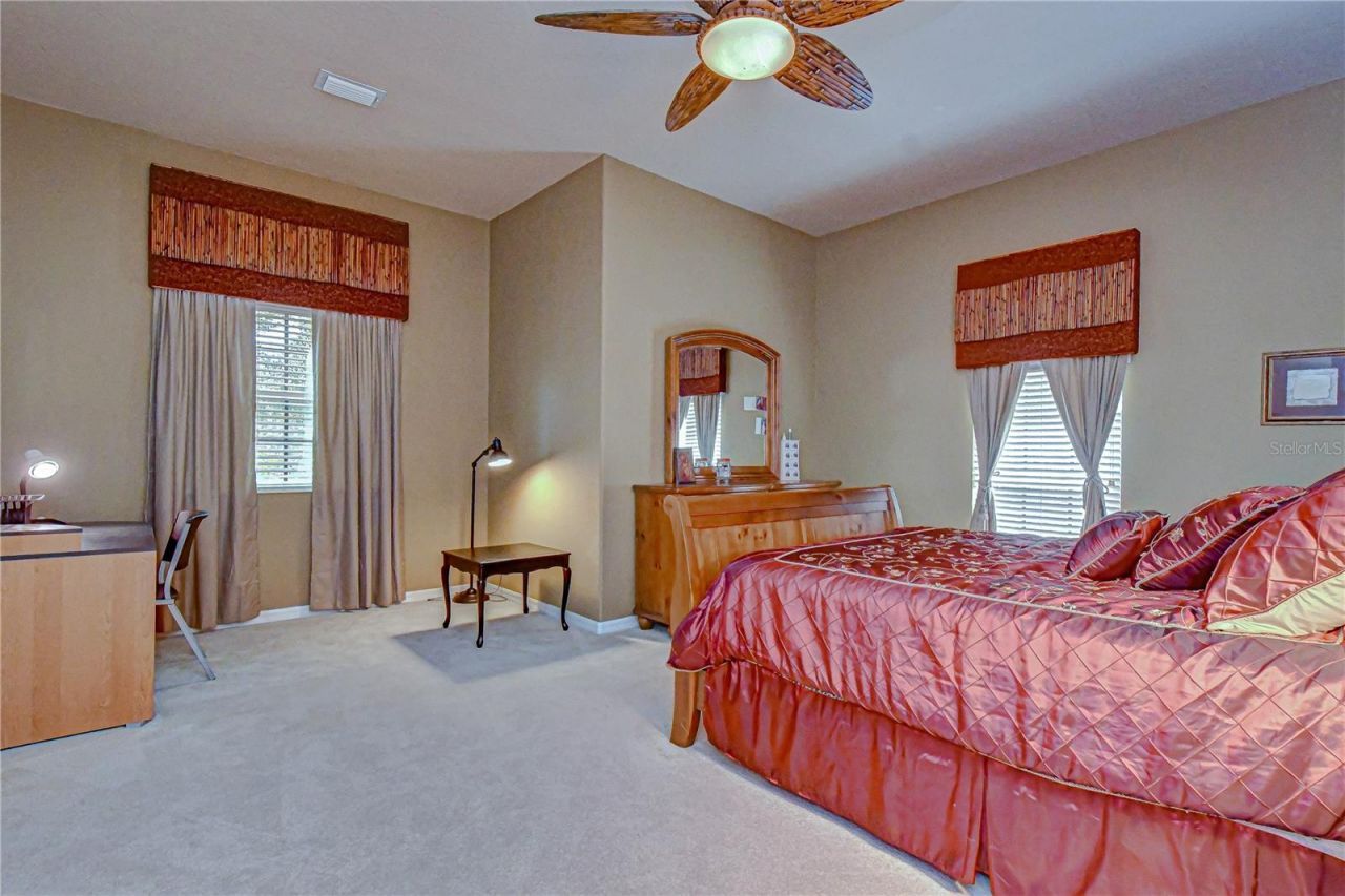 20915 Lake Vienna Drive, Land O Lakes, FL 34638 Photo