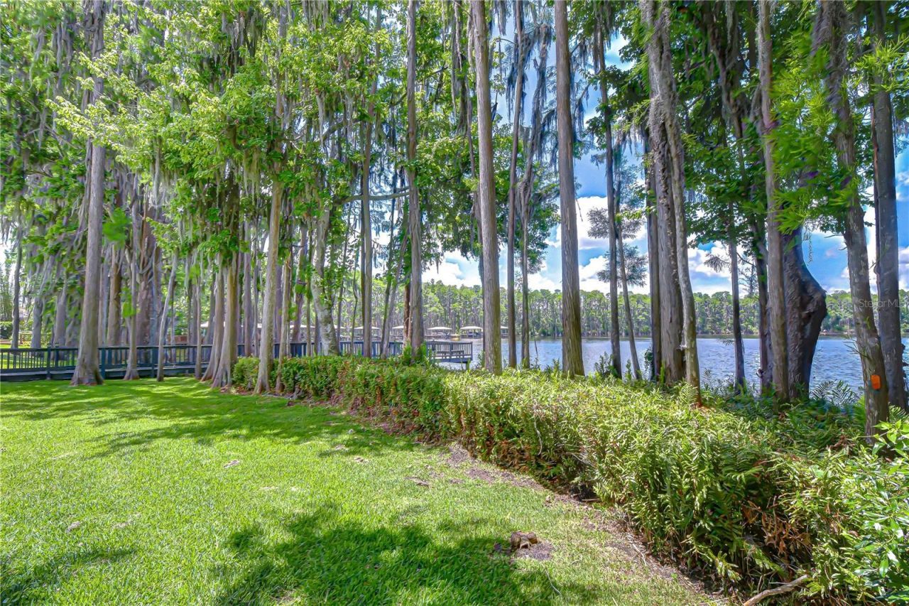 20915 Lake Vienna Drive, Land O Lakes, FL 34638 Photo