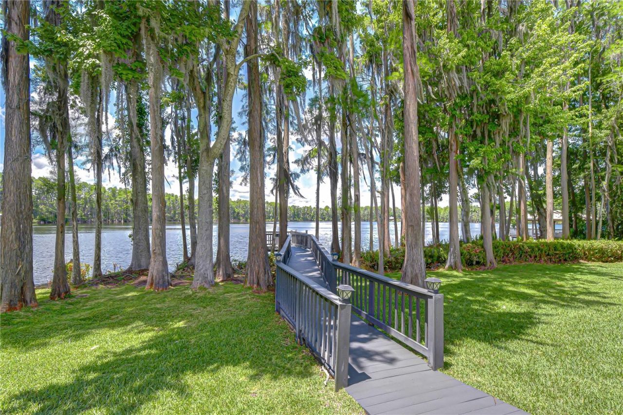 20915 Lake Vienna Drive, Land O Lakes, FL 34638 Photo