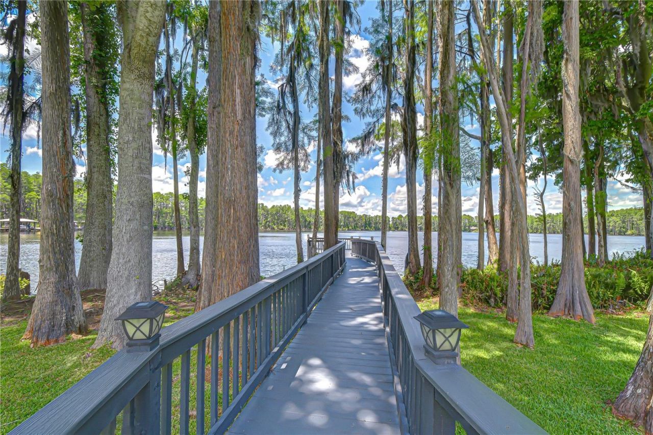 20915 Lake Vienna Drive, Land O Lakes, FL 34638 Photo