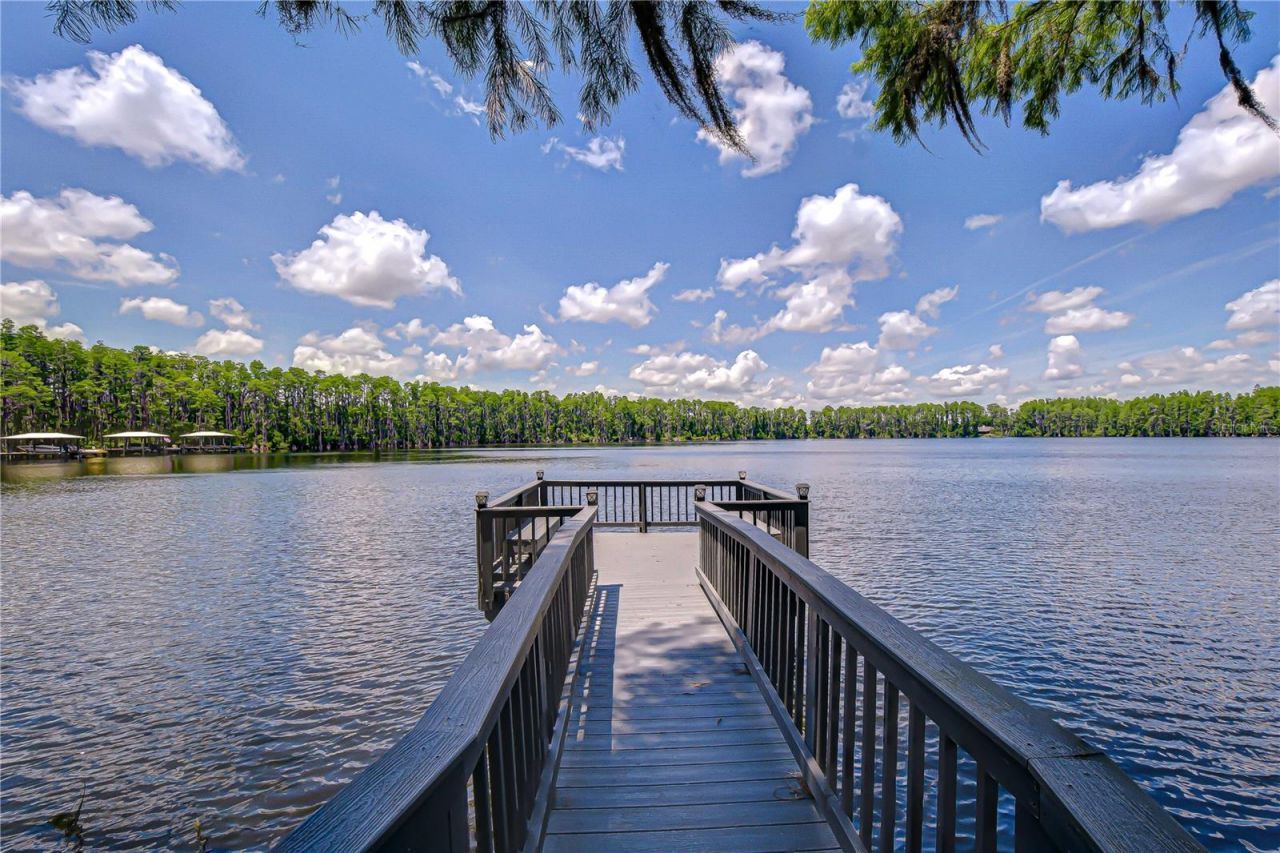 20915 Lake Vienna Drive, Land O Lakes, FL 34638 Photo