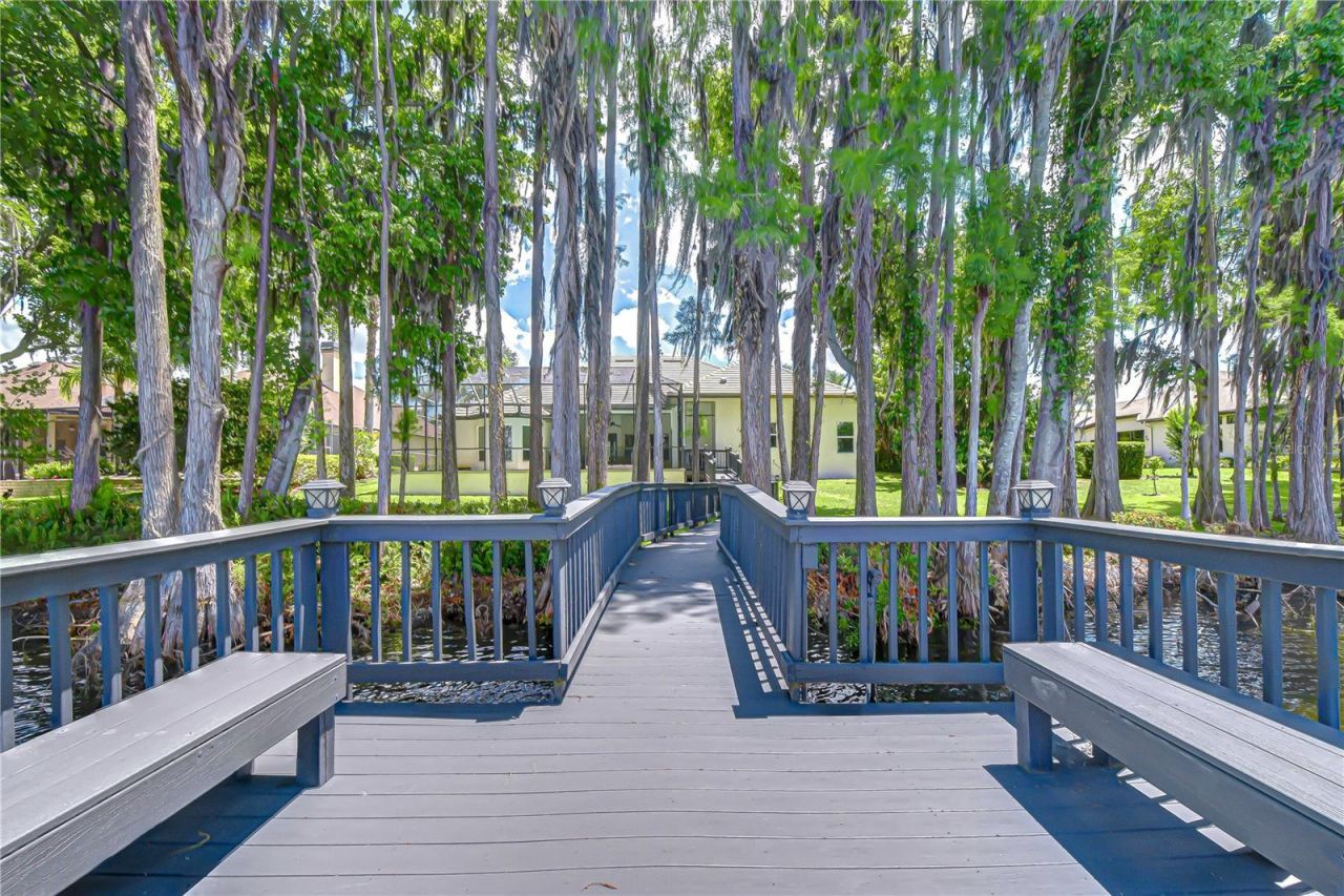 20915 Lake Vienna Drive, Land O Lakes, FL 34638 Photo