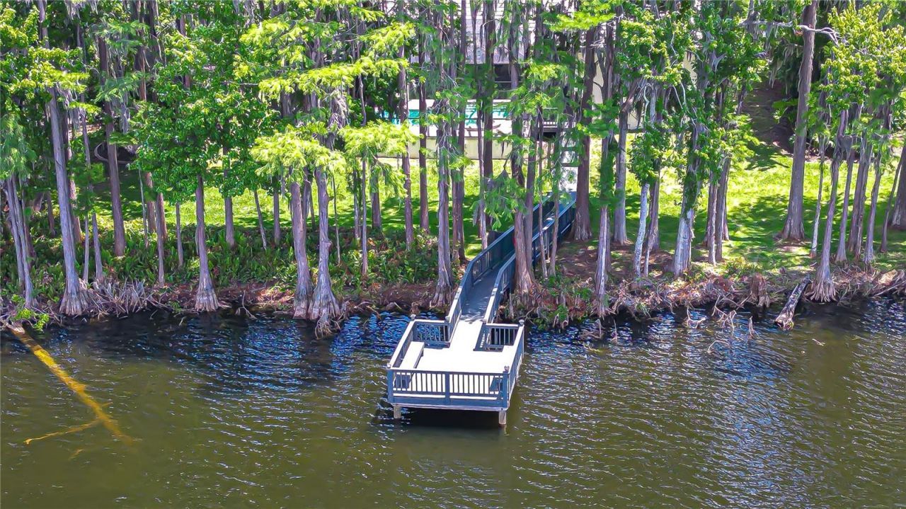 20915 Lake Vienna Drive, Land O Lakes, FL 34638 Photo