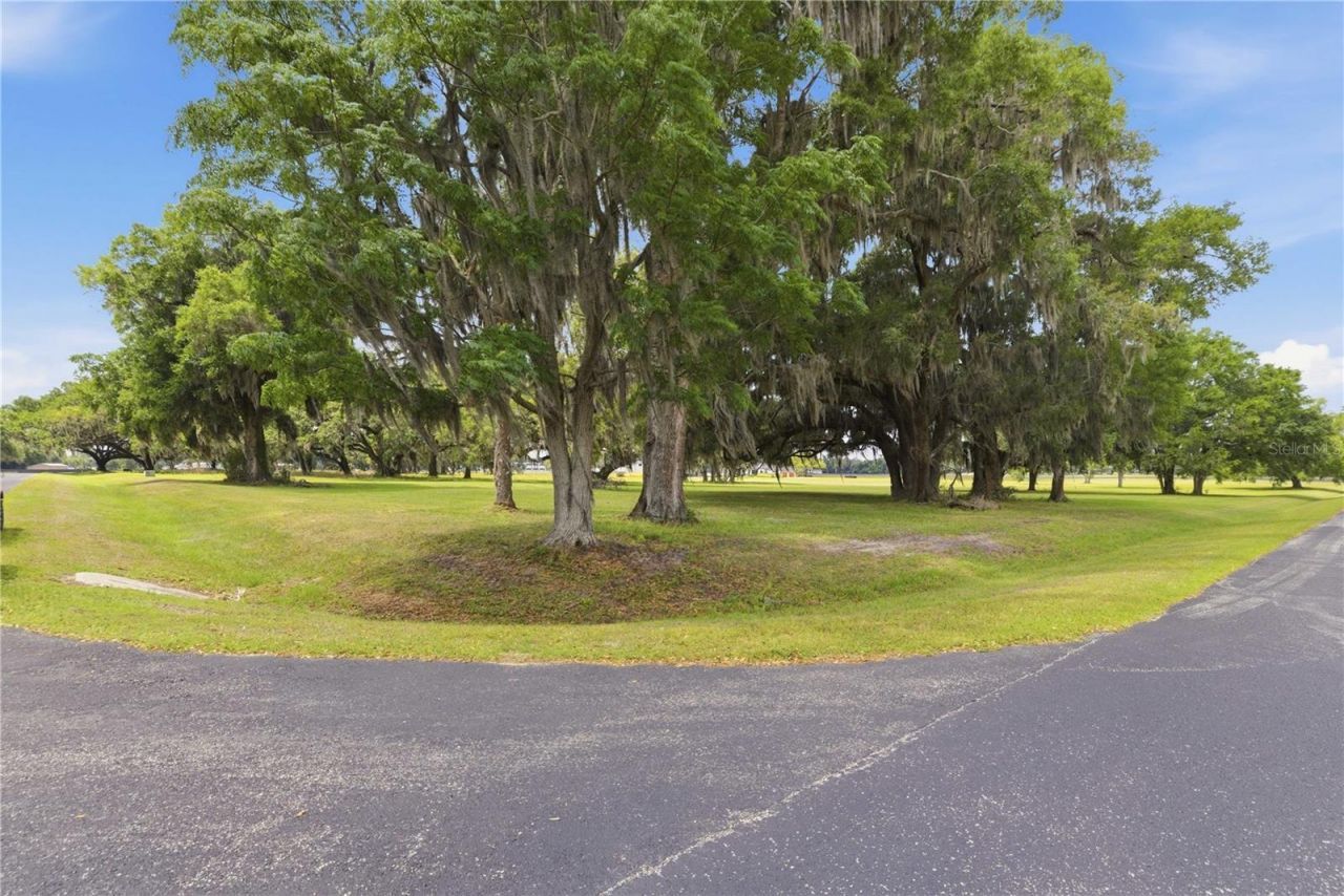 0 NE 16th Terrace, Lot #Lot 14, Ocala, FL 34479 Photo