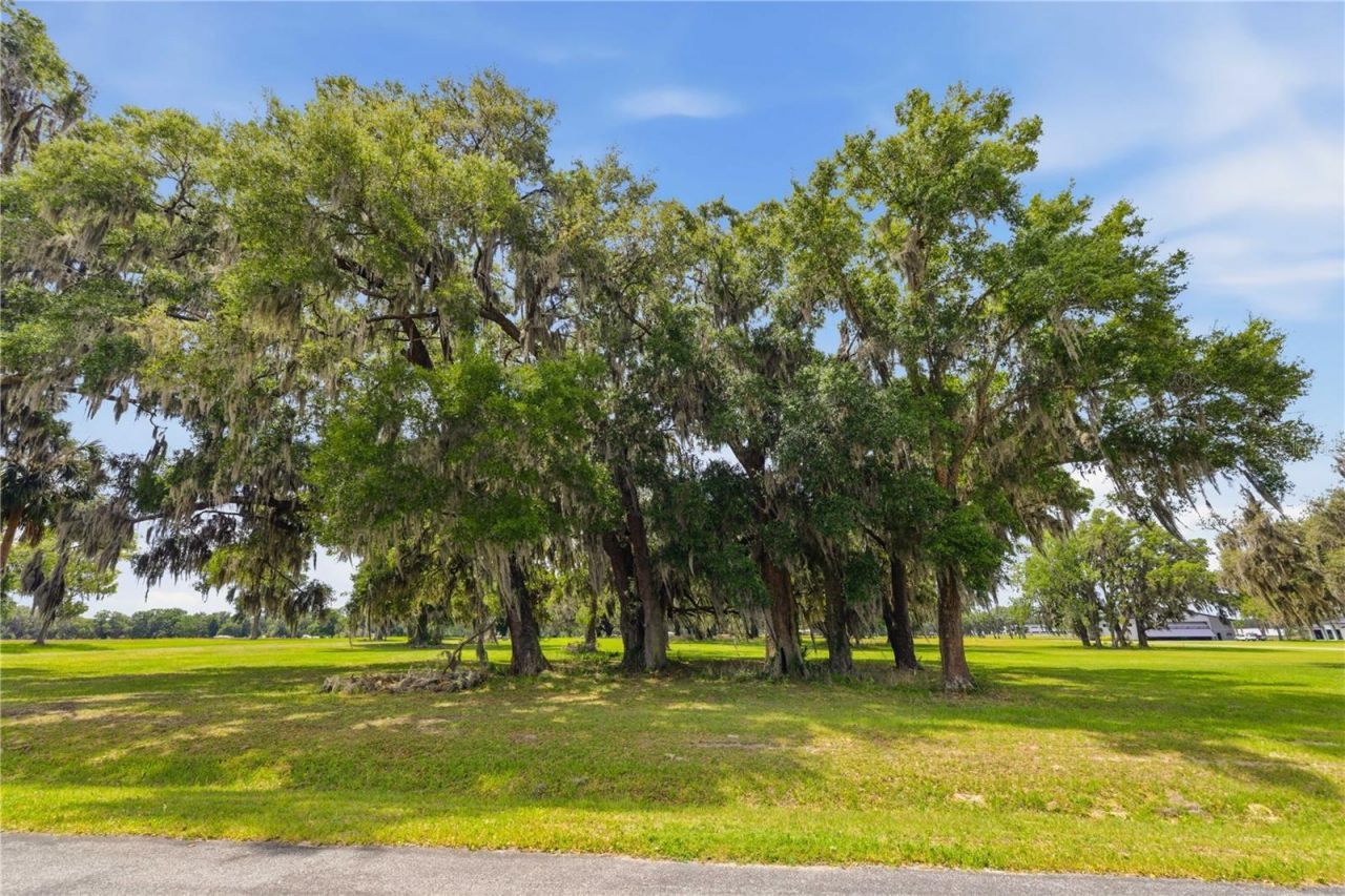 0 NE 16th Terrace, Lot #Lot 14, Ocala, FL 34479 Photo