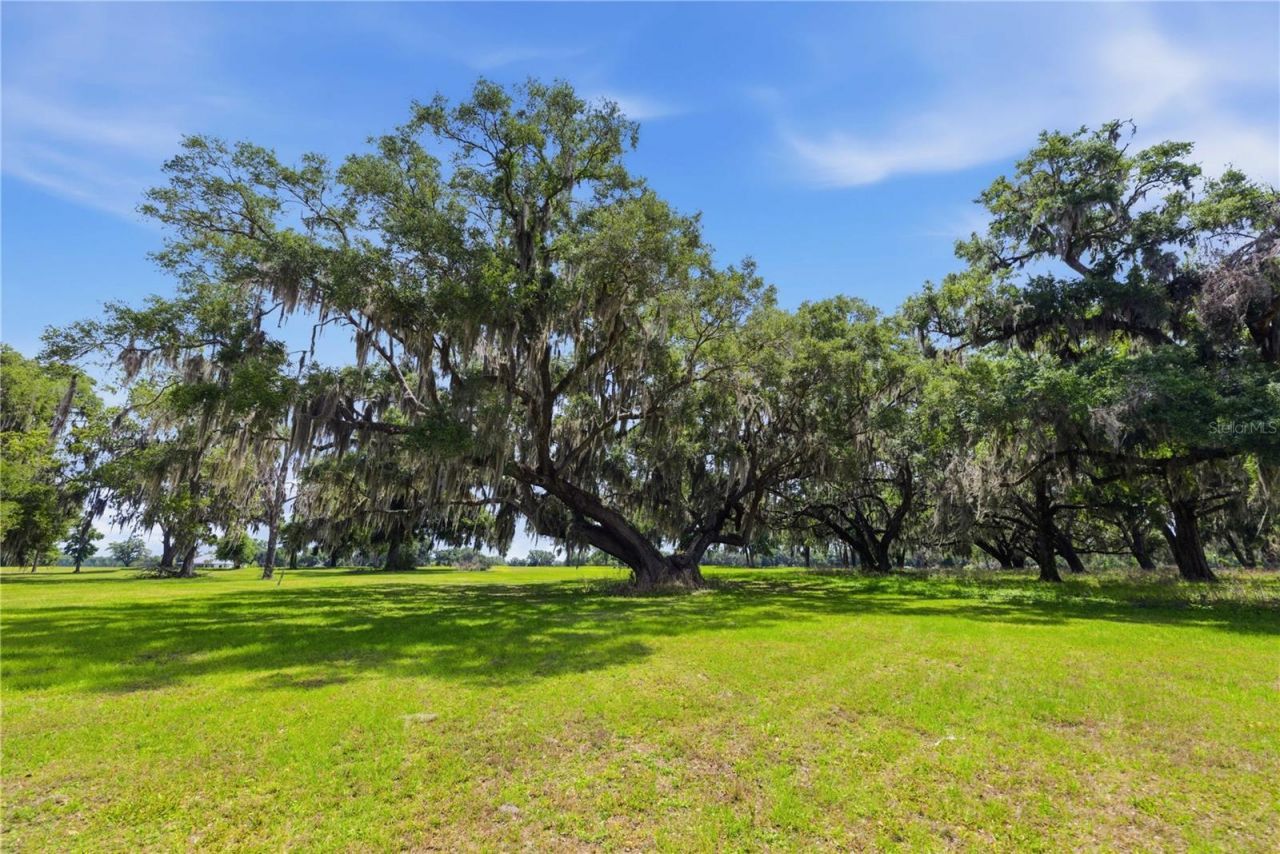 0 NE 16th Terrace, Lot #Lot 14, Ocala, FL 34479 Photo