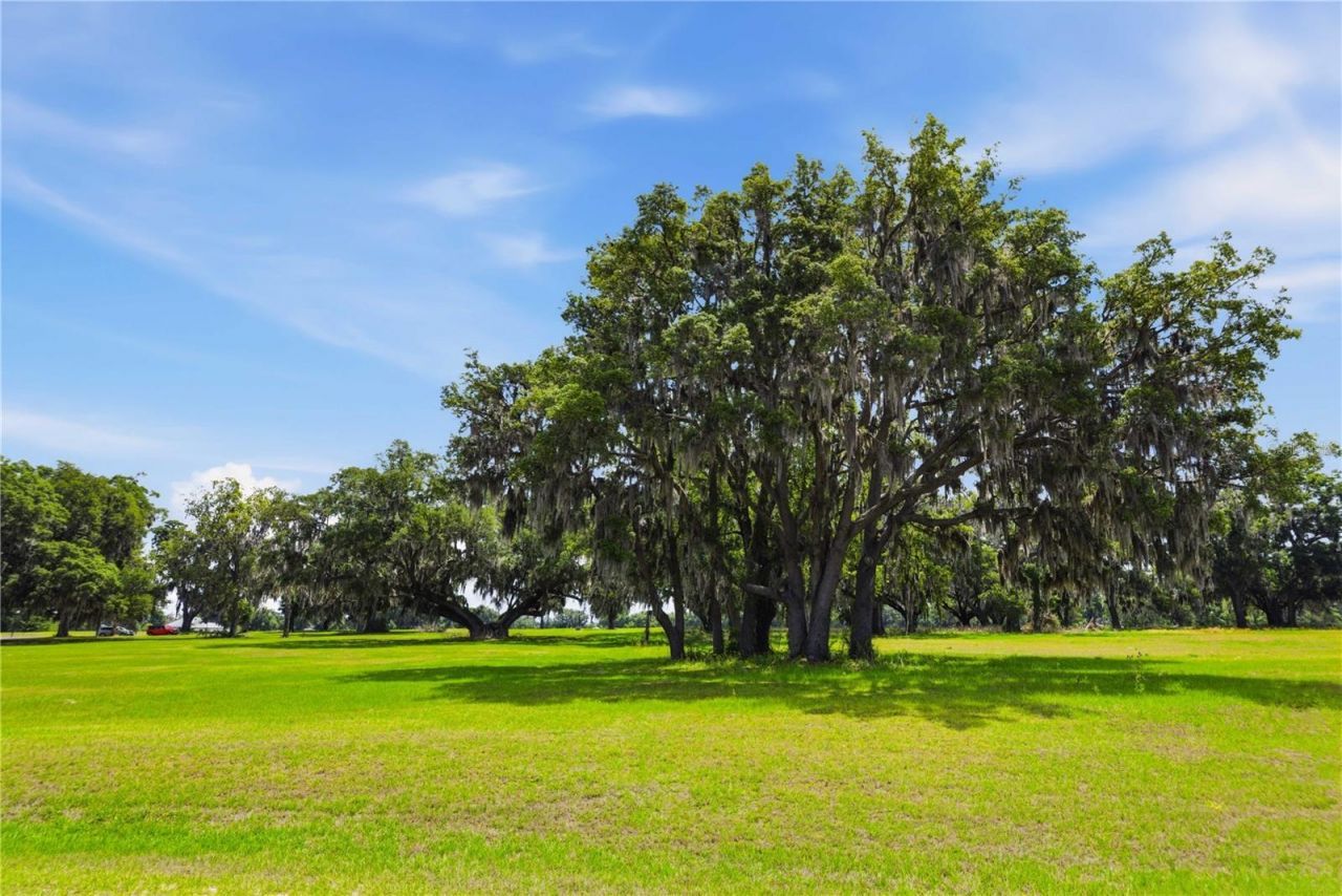 0 NE 16th Terrace, Lot #Lot 14, Ocala, FL 34479 Photo