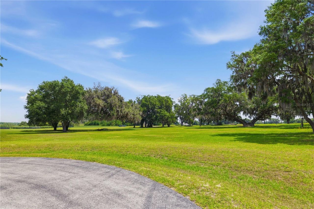 0 NE 16th Terrace, Lot #Lot 14, Ocala, FL 34479 Photo