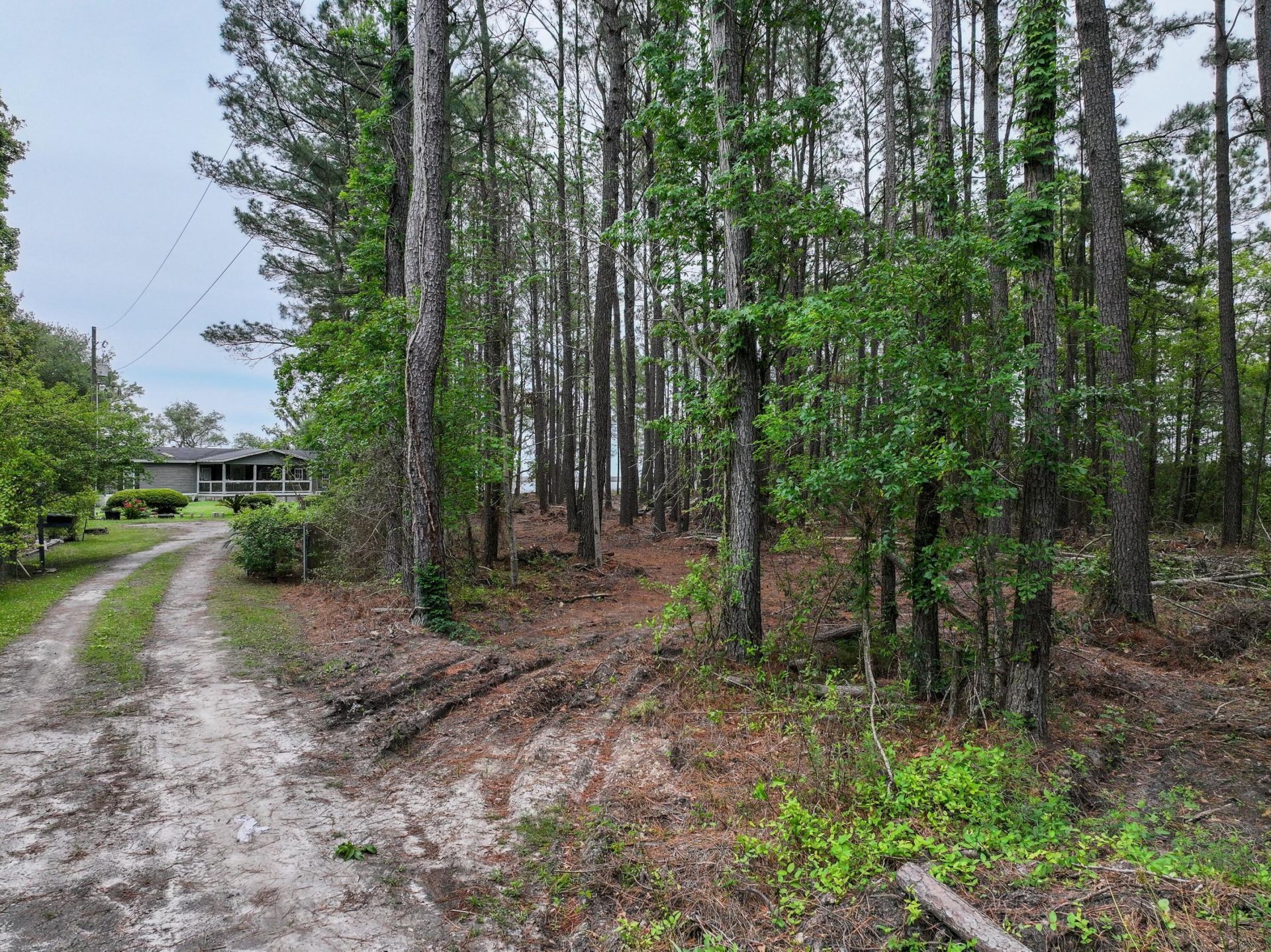 34 Creekmoor Lane Photo 10