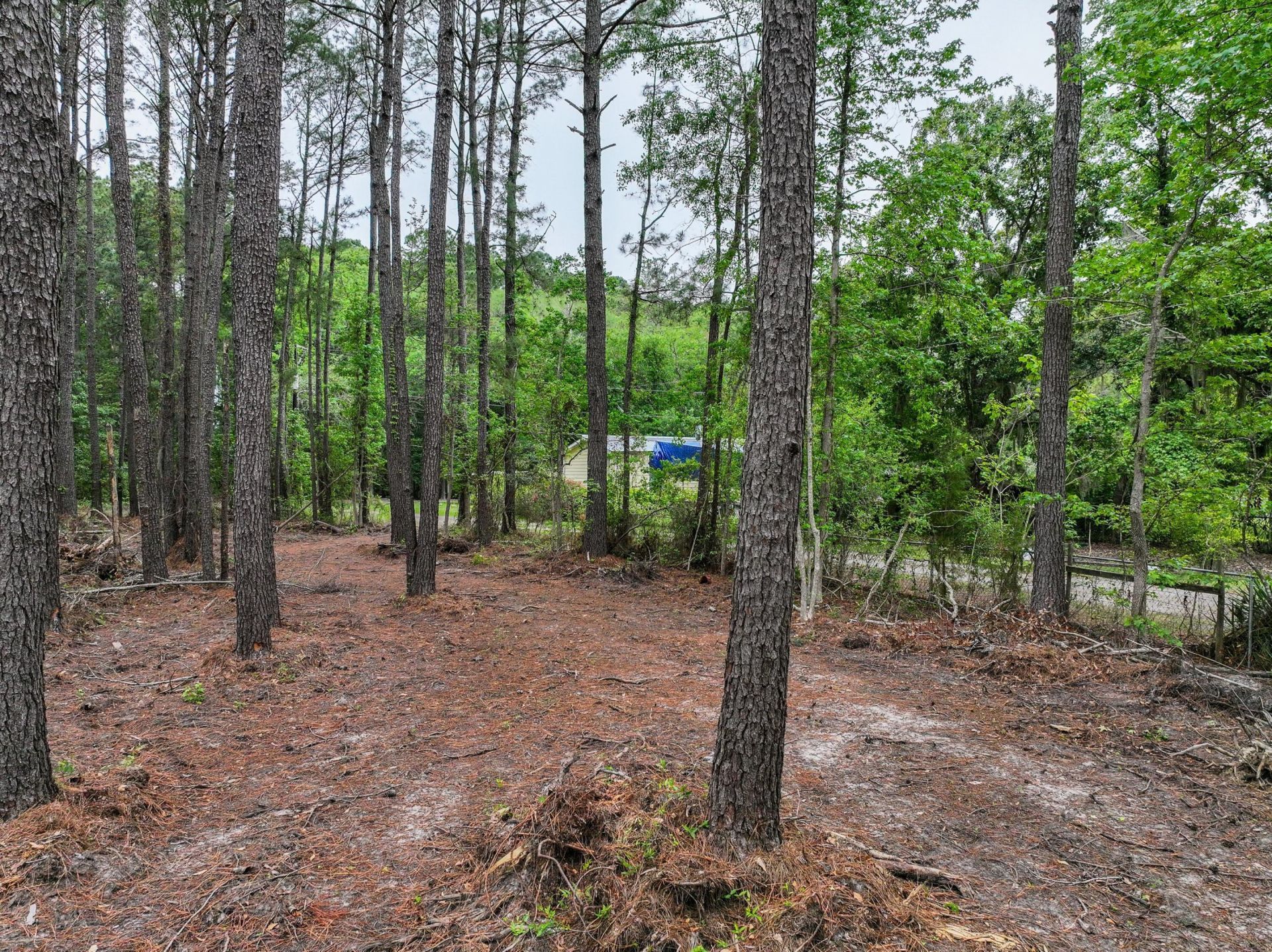 34 Creekmoor Lane Photo 9