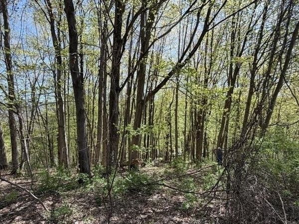 Lots 2A-3A Reservoir Road, North Adams, MA 01247