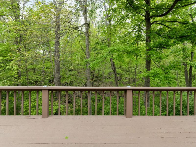 1820 Braumiller Road, Delaware, OH 43015 Photo 34