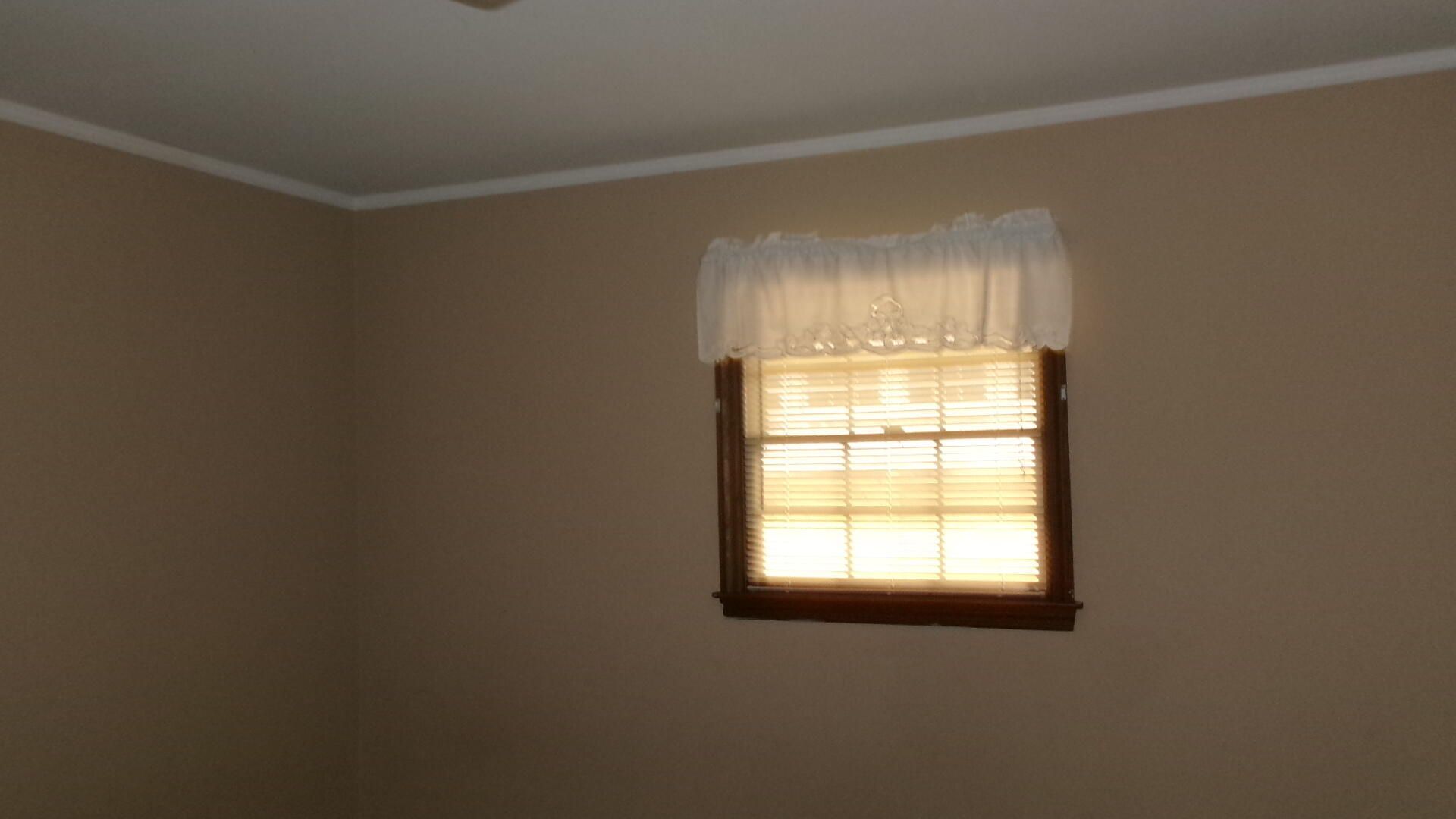 742 Condon Drive Photo 10