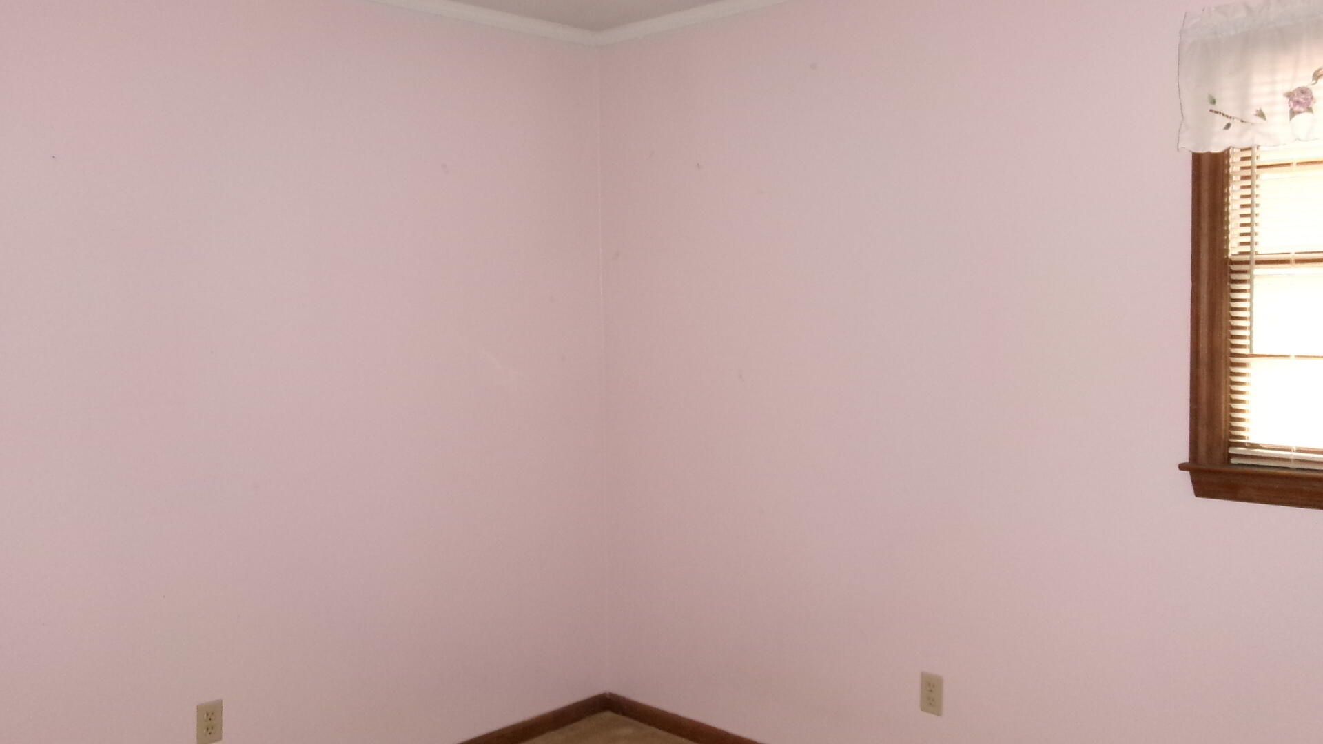742 Condon Drive Photo 12