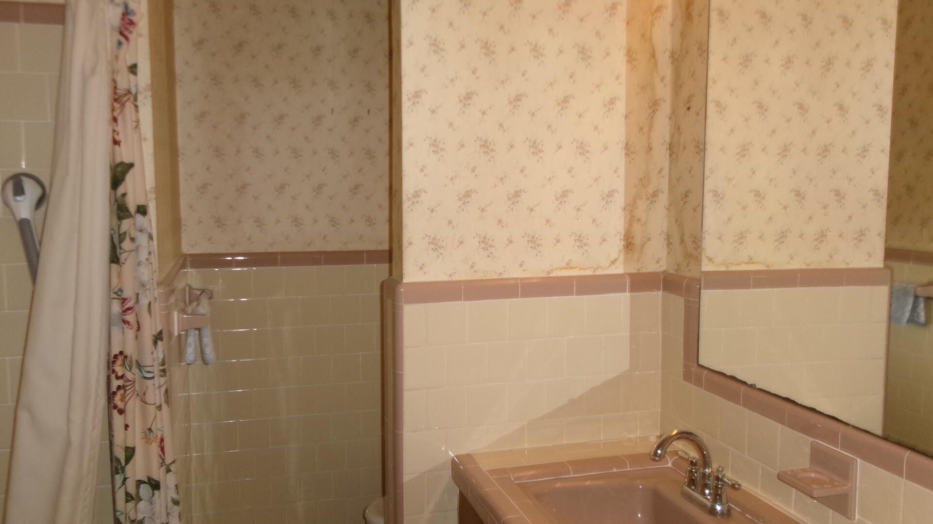 742 Condon Drive Photo 9