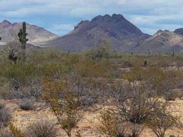 W Smokehouse Trail, Unit 89 & 90, Wickenburg, AZ 85390