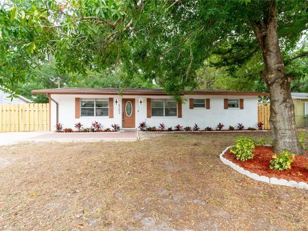 4203 FAWN CIRCLE, TAMPA, FL 33610