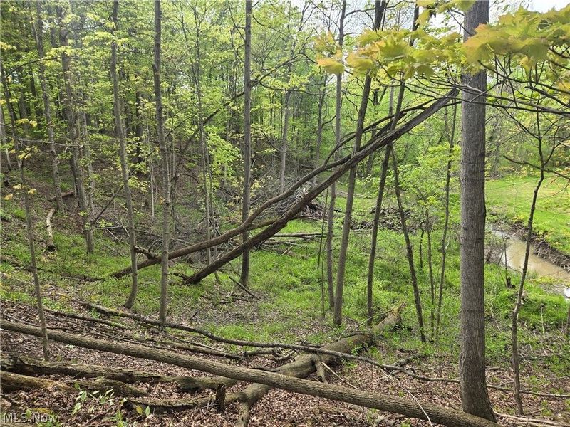 46457 Whitney Road, Wellington, OH 44090 Photo 29