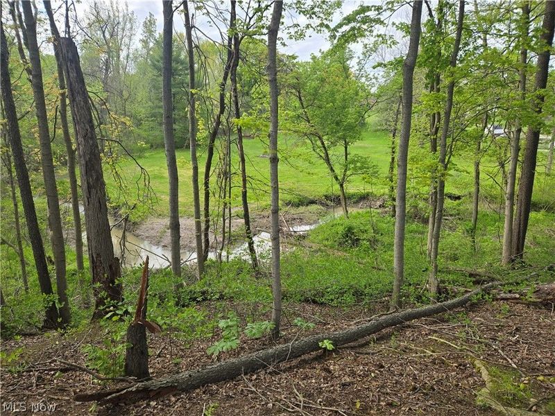 46457 Whitney Road, Wellington, OH 44090 Photo 30