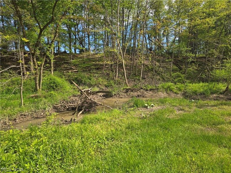 46457 Whitney Road, Wellington, OH 44090 Photo 32