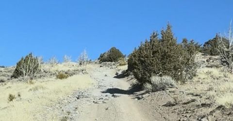 3355 Cougar Drive, Reno, NV 89510 Photo