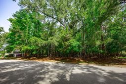 506 Timberlake Drive  photo 4