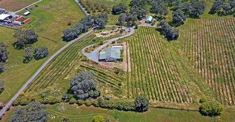 10721 Shenandoah Rd, Plymouth, CA 95669 Photo
