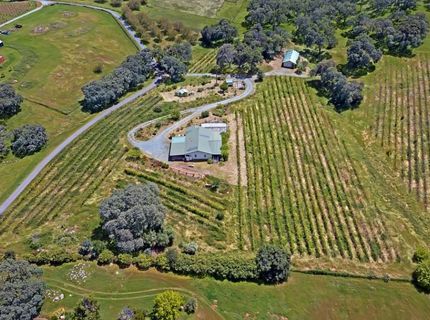 10721 Shenandoah Rd, Plymouth, CA 95669 Photo