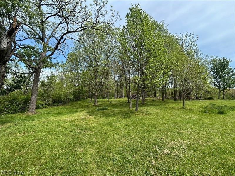 6180 Irish Ridge Road SE, Corning, OH 43730 Photo 32