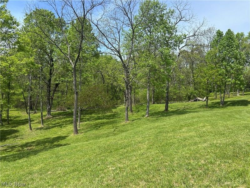 6180 Irish Ridge Road SE, Corning, OH 43730 Photo 38