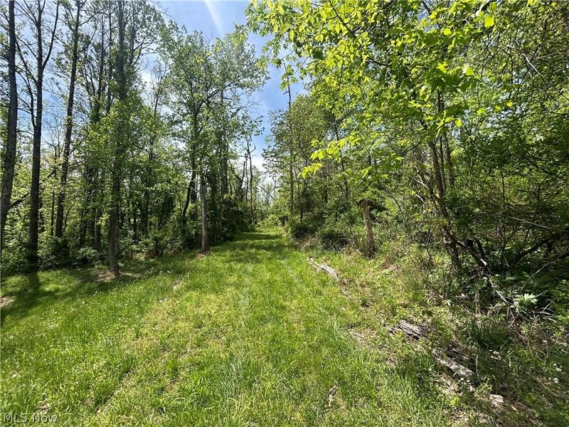 6180 Irish Ridge Road SE, Corning, OH 43730 Photo 39