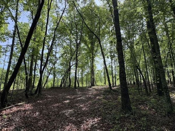 0 Roy Dean Road, Buchanan, GA 30113