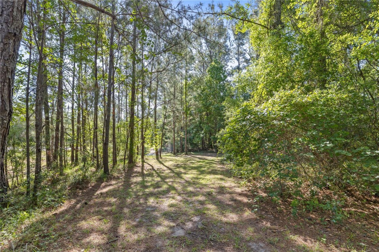 22250 Deer Park Avenue, Eustis, FL 32736 Photo