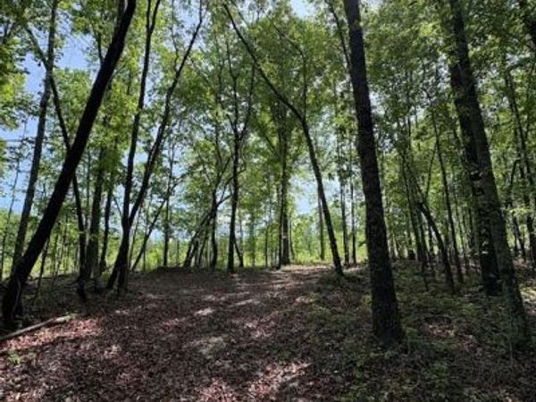 0 Roy Dean Road, Buchanan, GA 30113