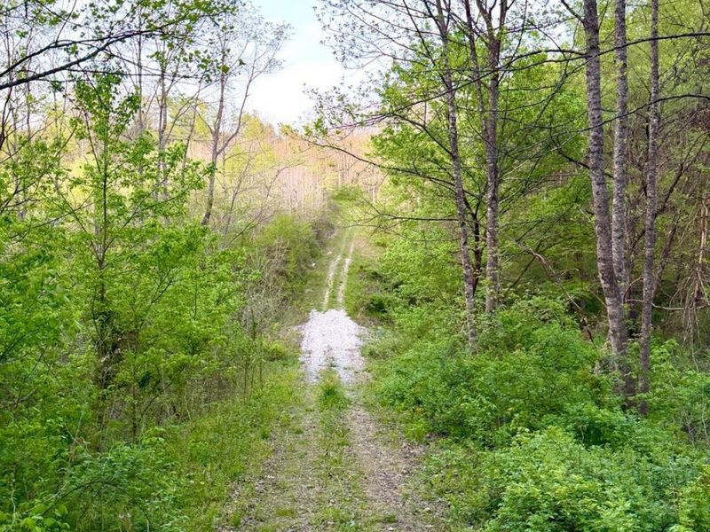 0 St Rt 279, Hamilton Twp, OH 45656 Photo 19